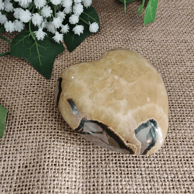 Cœur Septaria  (70mm)